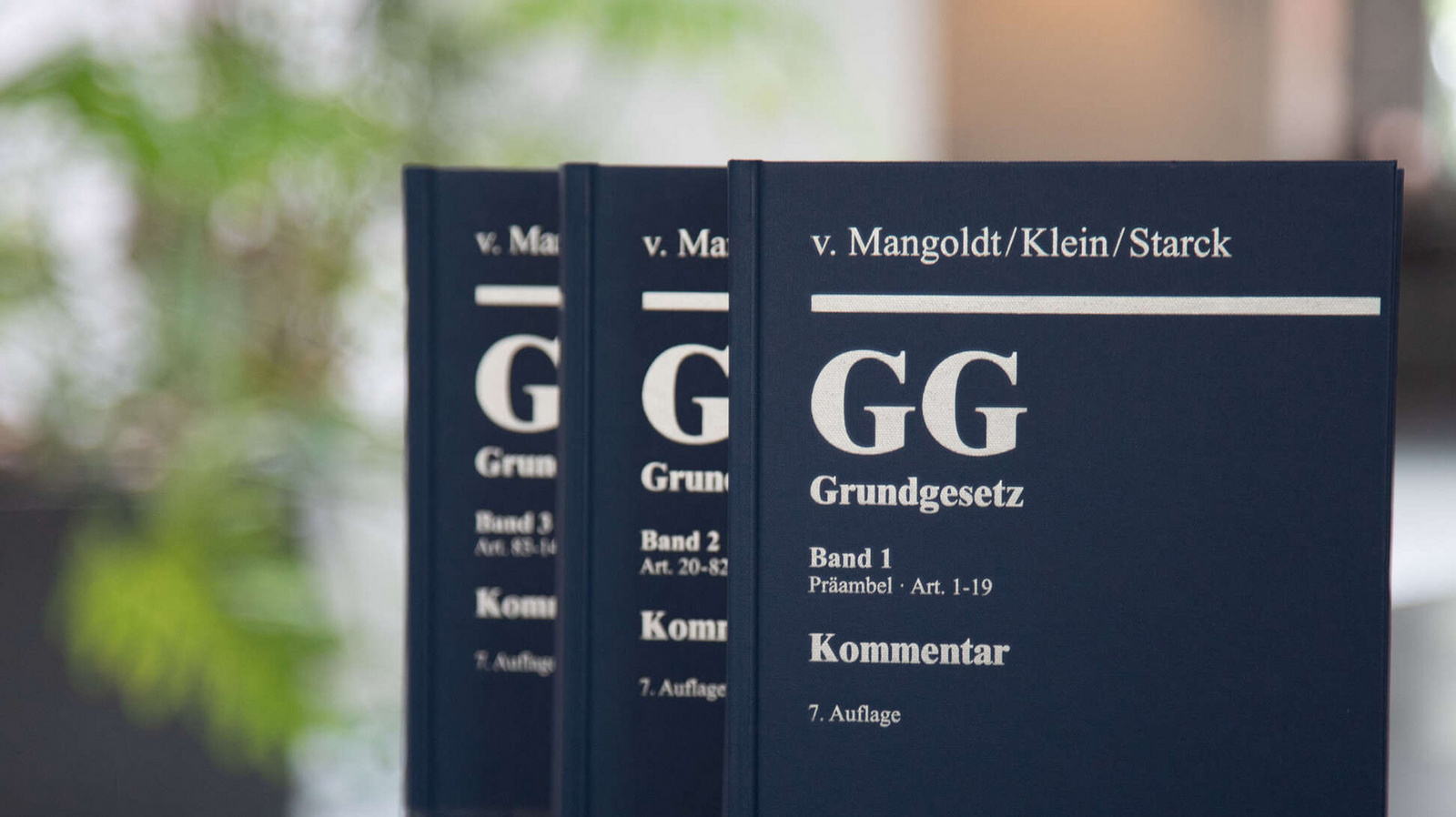 Am 23. Mai dieses Jahres ist das Grundgesetz der Bundesrepublik Deutschland 75 Jahre alt geworden. 