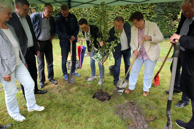 Baum-Challenge: Ein Zeichen für gelebte Schöpfungsverantwortung