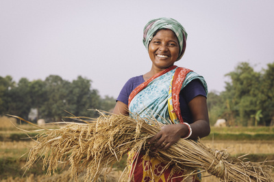 Indigene Kleinbauern in Bangladesch Zu sehen ist Sundori Murmu (35), eine indigene Kleinbäuerin in Bangladesch, bei der Reisernte.