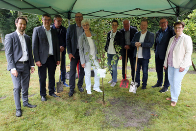 Baum-Challenge im Garten des Oberkirchenrates in Oldenburg