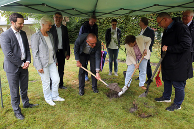 Trotz Regens pflanzten das Team des Oberkirchenrats und die Kreispfarrer*innen der oldenburgischen Kirche gemeinsam einen Birnenbaum.